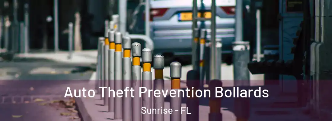  Auto Theft Prevention Bollards Sunrise - FL